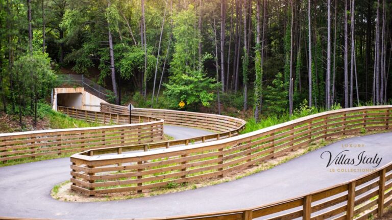 AMC Mohican Outdoor Center Stunning Trails & Outdoor