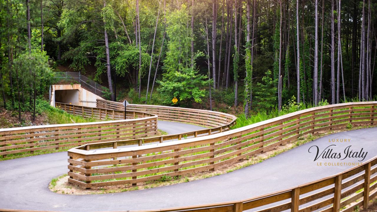 AMC Mohican Outdoor Center Stunning Trails & Outdoor
