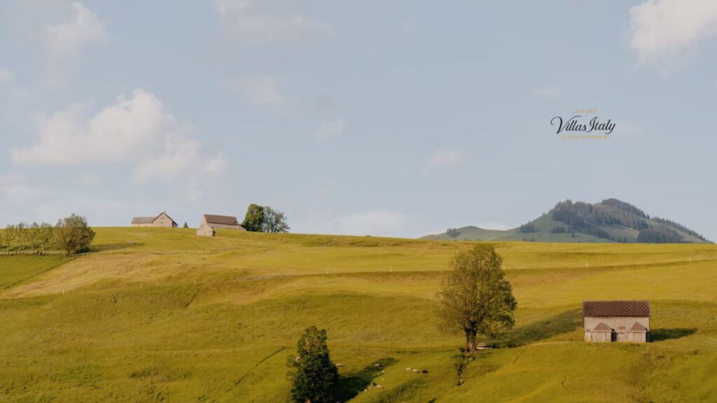 Everything You Need to Know About SiteOne Landscape Supply