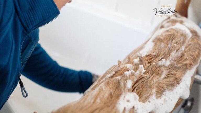 The Ultimate Guide to At-Home Dry Cleaning