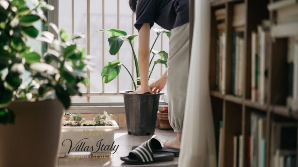 Why Invest in a Cleaning Cart for Home