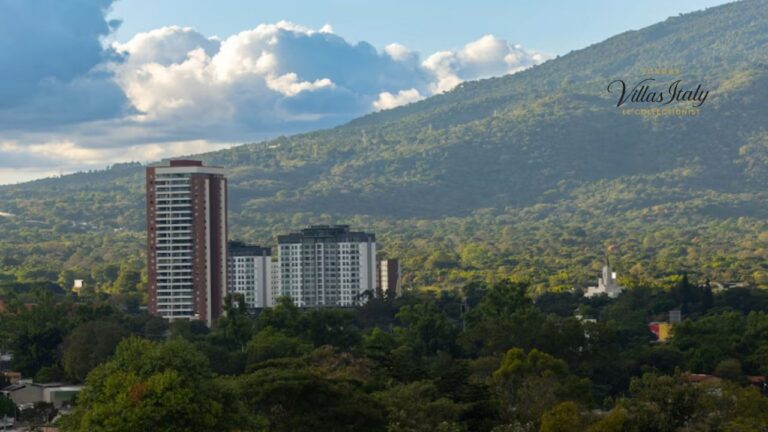 Mount Annan Real Estate Market Trends Latest Insights 2025